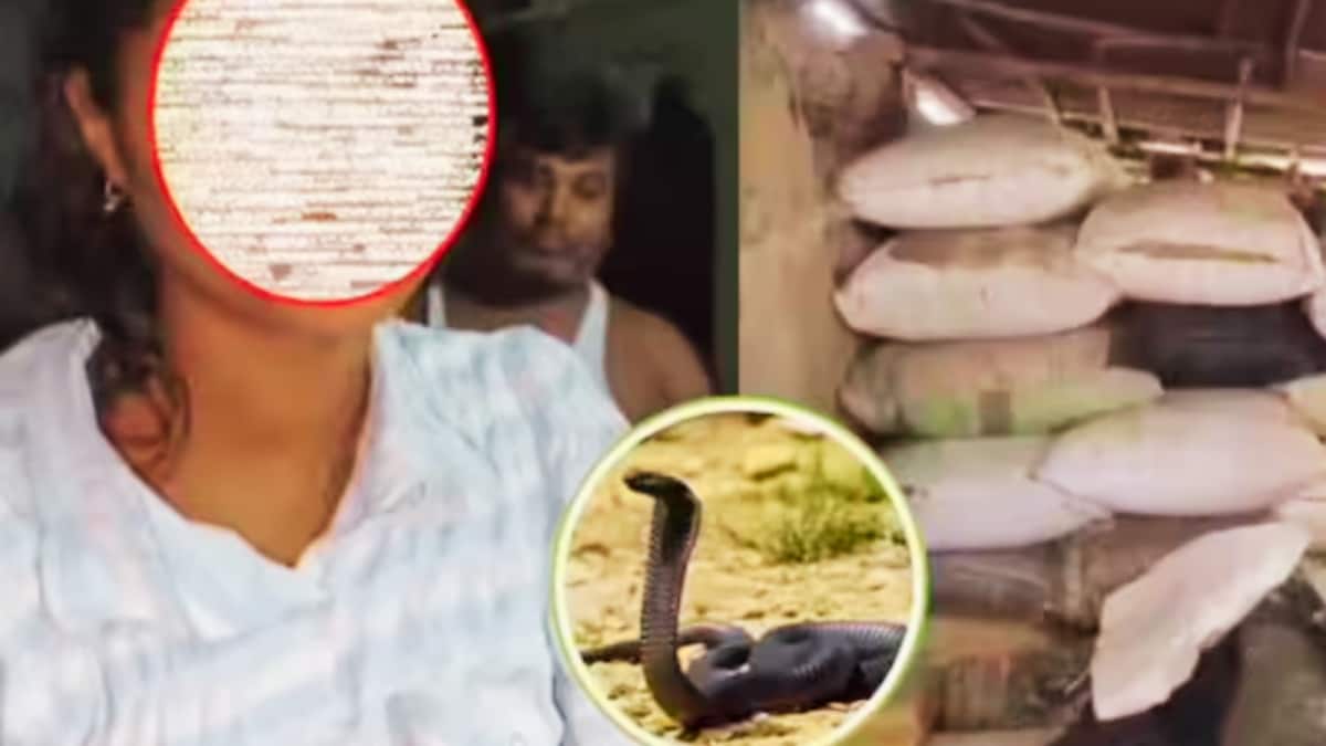 UP Teen Claims Repeated Snake Bites; Family Seeks Answers