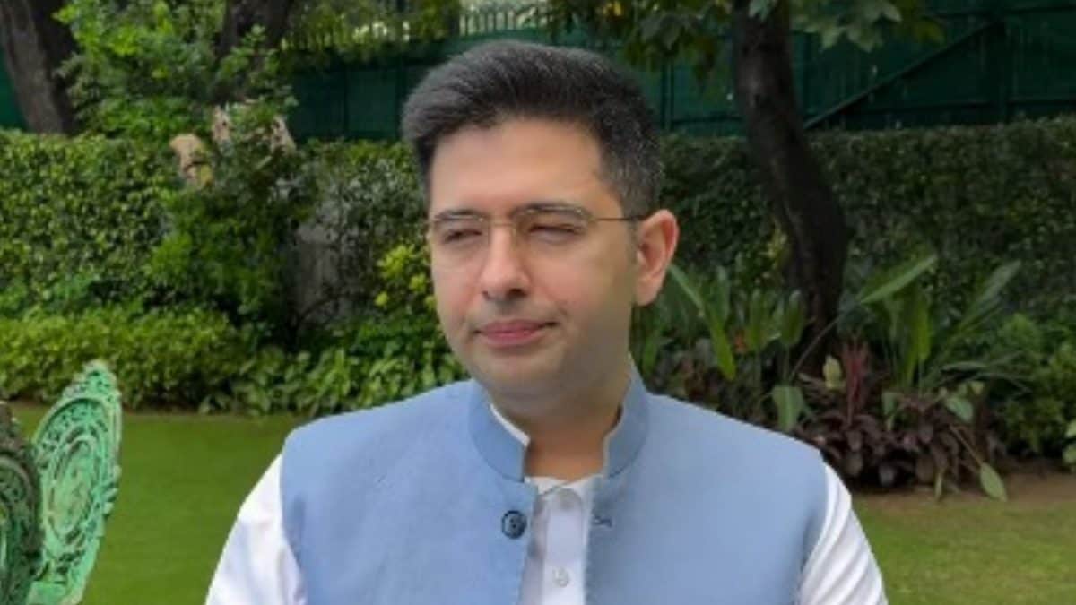 ‘Raghav Chadha Vs Airlines’ In Rajya Sabha: Demand For Hourly Delay Pay Wins Cheers, But Sparks Fare Hike Fears