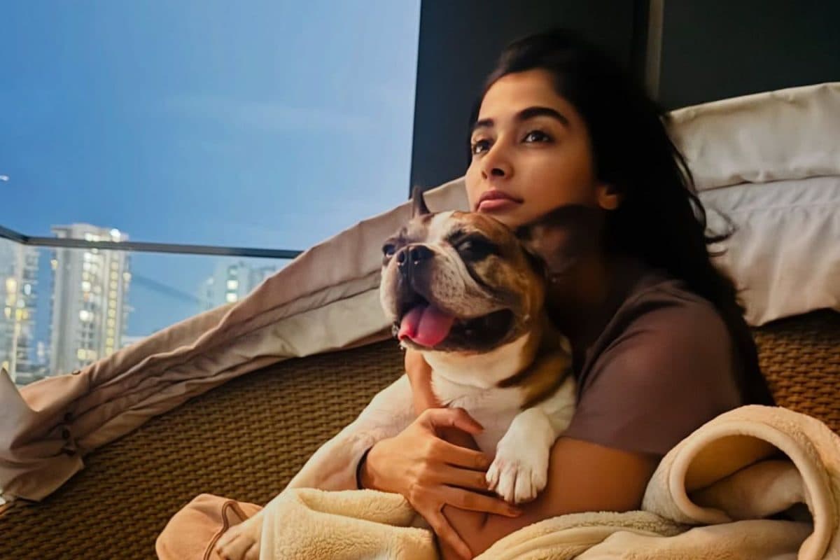 Pooja Hegde needs rest due to illness.