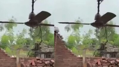 Punjab Floods: Ceiling Fan Remains Intact As Brutal Rain Destroys House In Ferozepur. Internet Calls It 'Third Law Of Motion' | Viral News - News18