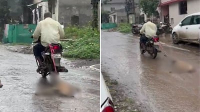Nashik Police registered a case against the man | Image: News18