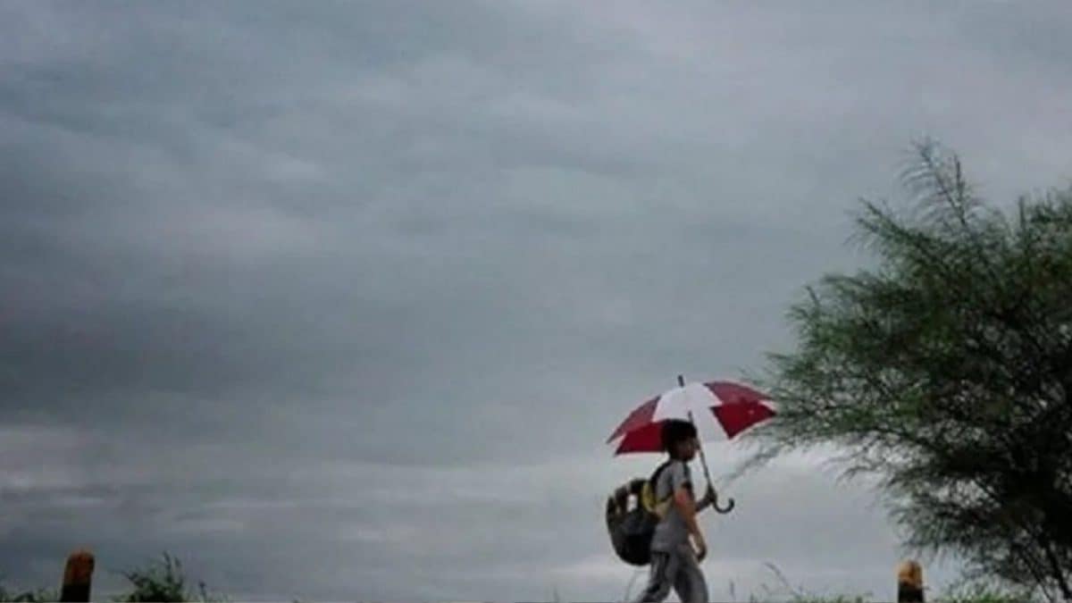 Tamhini Ghat: A Wet Escape in Maharashtra