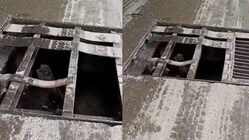 ‘That’s A Death Trap’: AI Video Shows Dangerous Condition Of Broken Chamber Near Mumbai DN Nagar Metro, BMC Reacts