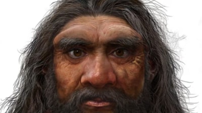 The researchers used sophisticated scanning and digital reconstruction techniques to determine the original shape of the skull, which is between 940,000 and 1.1 million years old, and compared it to more than 100 other human fossils. (Representative Image)