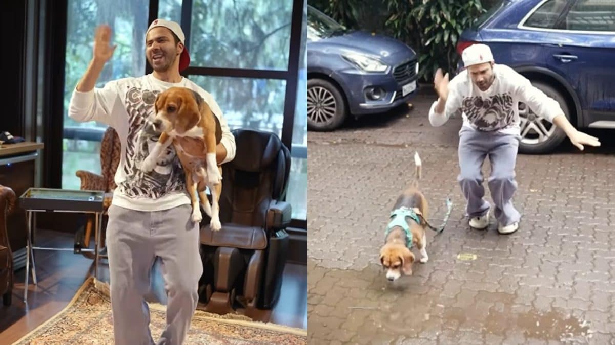 Varun Dhawan Dances With Dog; Janhvi Kapoor Reacts