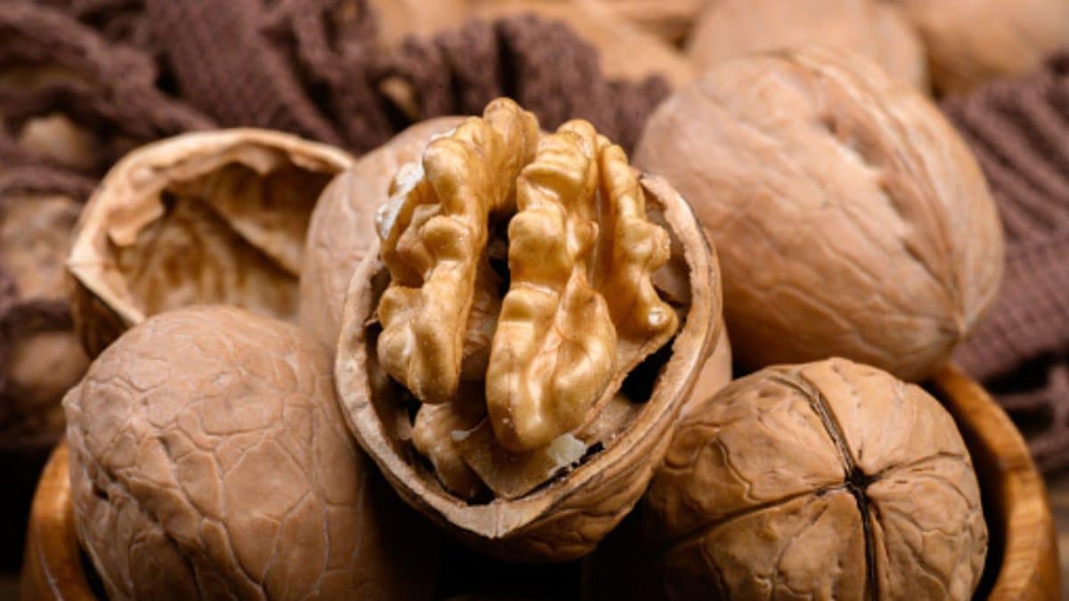 <div>Why Walnuts & Almonds Should Be Your Go-To Superfoods For Stronger And Shinier Hair</div>