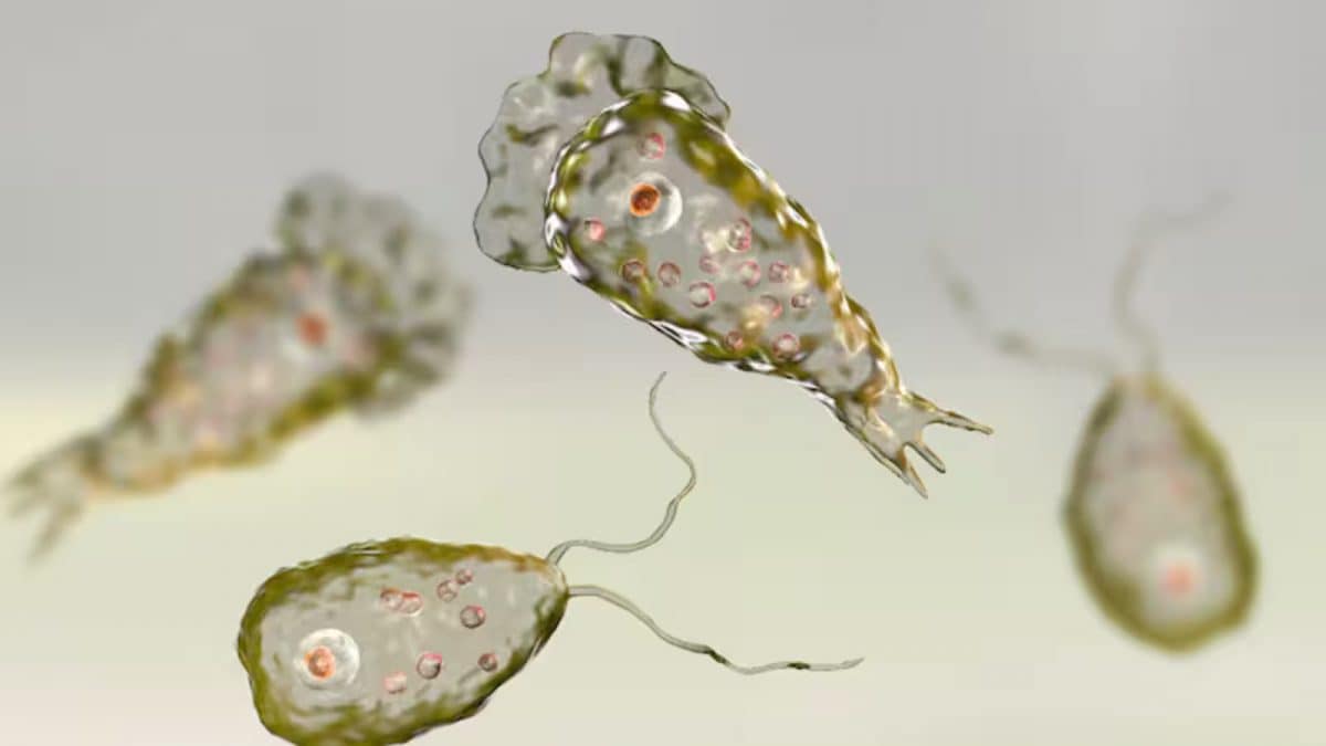 Kerala Reports 67 Cases Of Deadly Brain-Eating Amoeba, 18 Deaths So Far