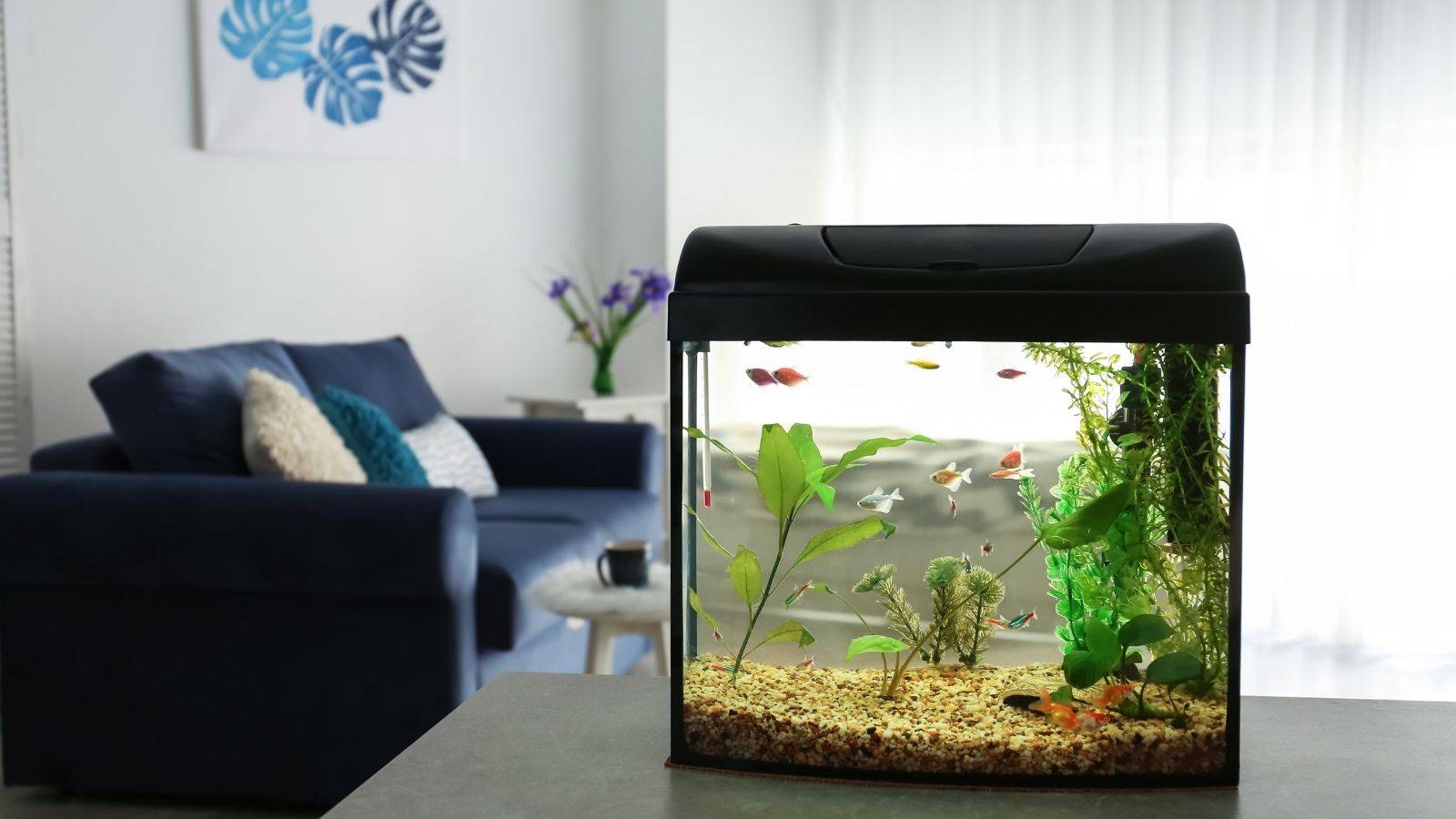 Feng Shui 101: Where To Place A Fish Tank At Home Feng Shui 101: Where To Place A Fish Tank At Home