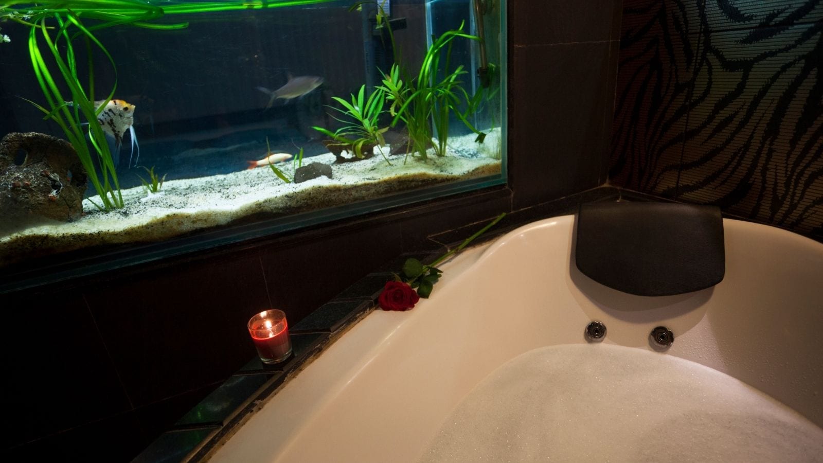 Feng Shui 101: Where To Place A Fish Tank At Home Feng Shui 101: Where To Place A Fish Tank At Home