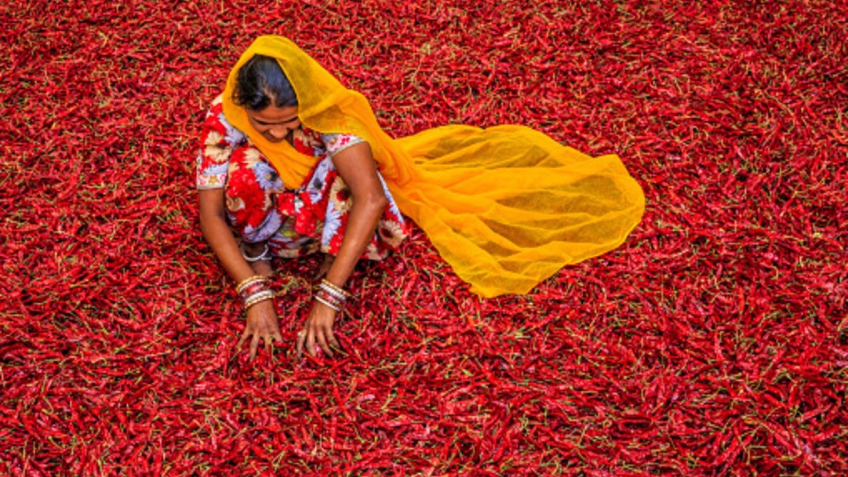 Food Sovereignty: India's Role in Tech-Driven Food Systems