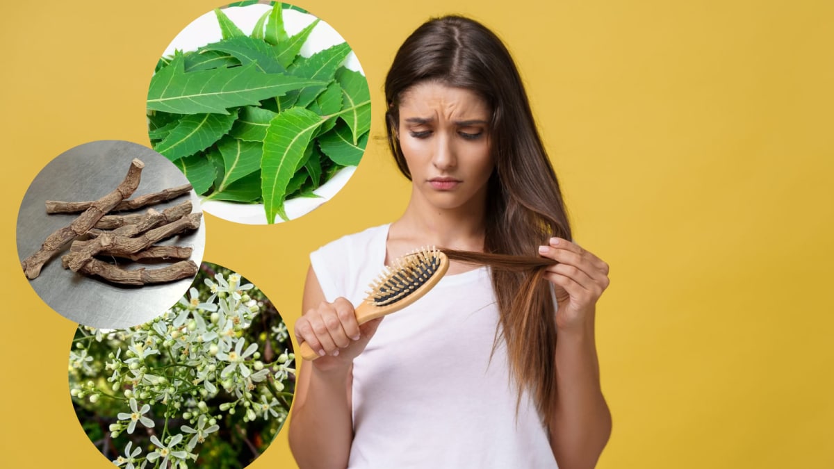 6 Easy Home Remedies To Get Rid Of Head Lice Quickly And Naturally