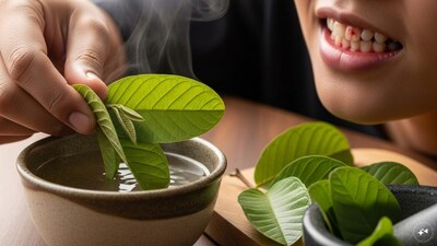 If your gums often bleed, chewing fresh guava leaves daily for a few days may provide noticeable relief. (Representative image: AI-generated)