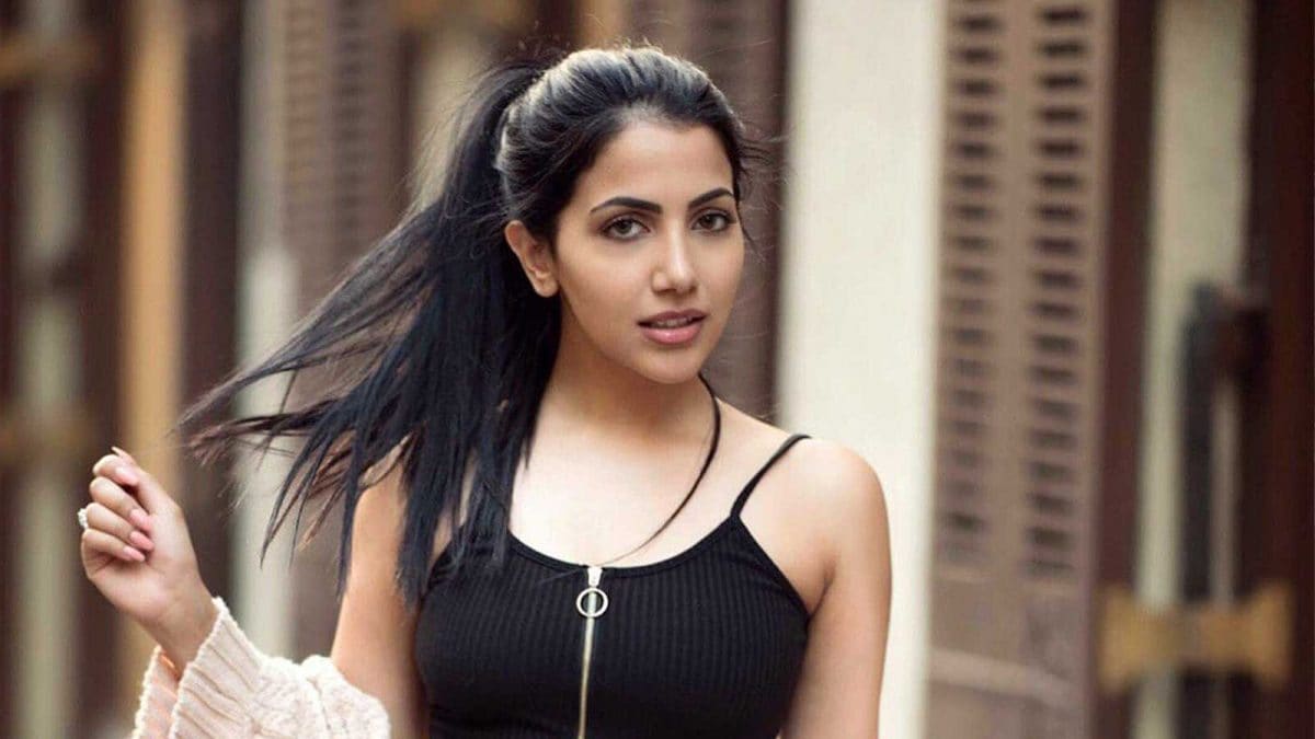 Rameet Sandhu Eliminated From 'Chhoriyan Chali Gaon' for Second Time