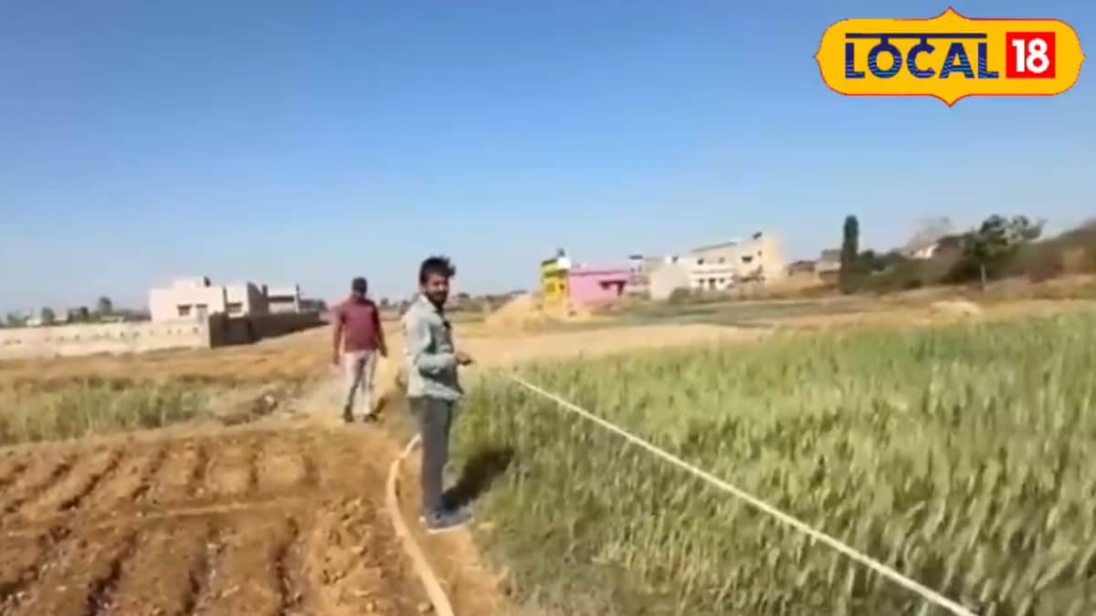 Hectare, Bigha, Acre: How Much Land Do They Really Cover? Measurement Guide Inside