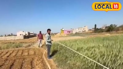 Hectares are metric units, while decimals and acres are traditional Indian units. (Local18)