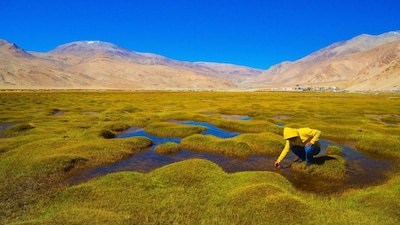 Ladakh has been seeing a rise in the number of tourists. (Shutterstock File)