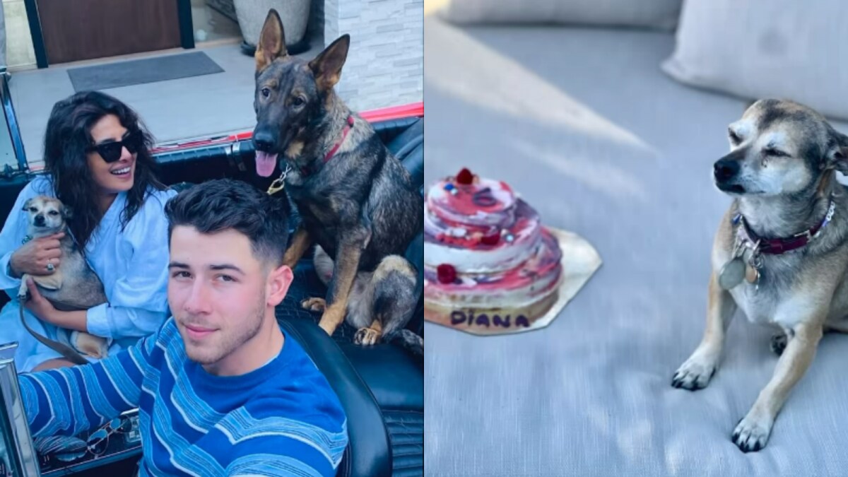 Priyanka Chopra and Nick Jonas Celebrate Dog Birthdays