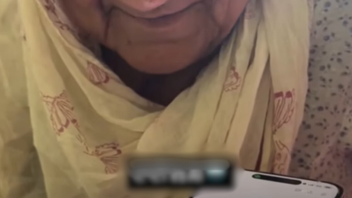 Punjabi Dadi's Hilarious AI Chatbot Interaction Goes Viral