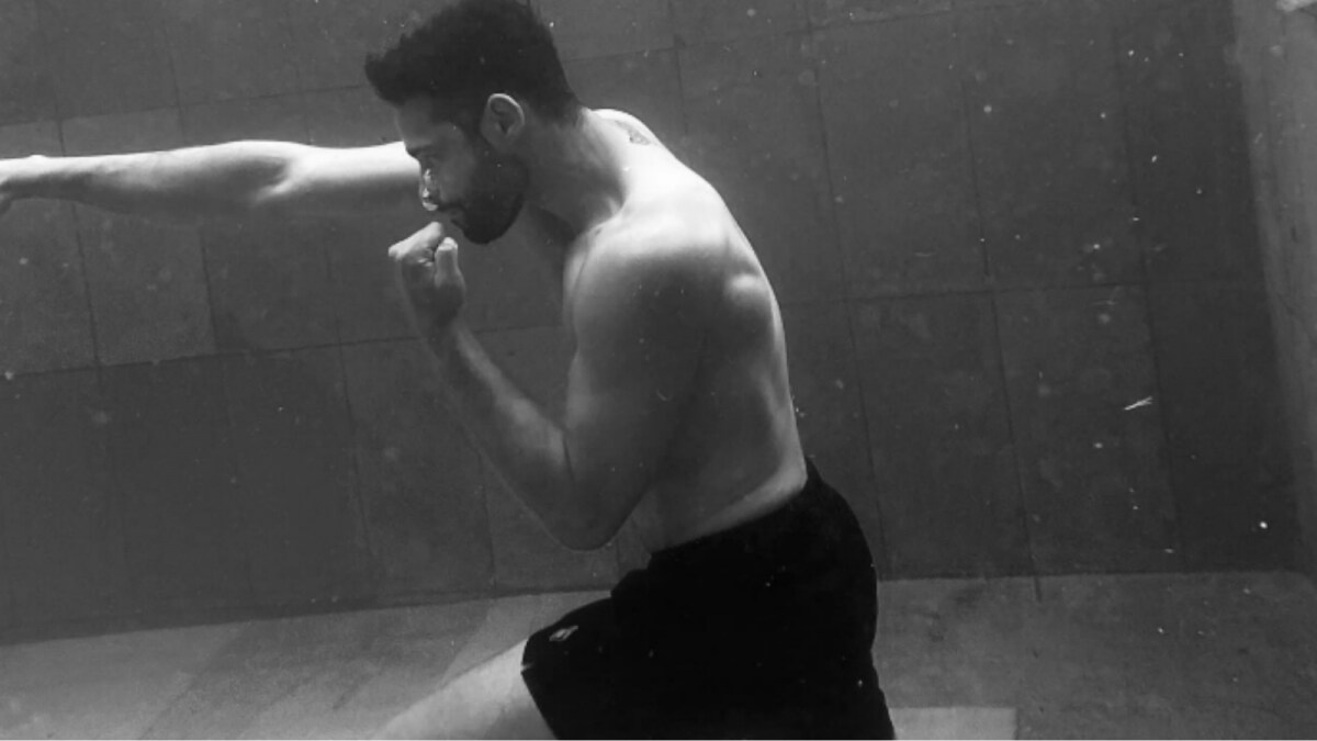 Siddhant Chaturvedi's Intense Workout Hints at New Project