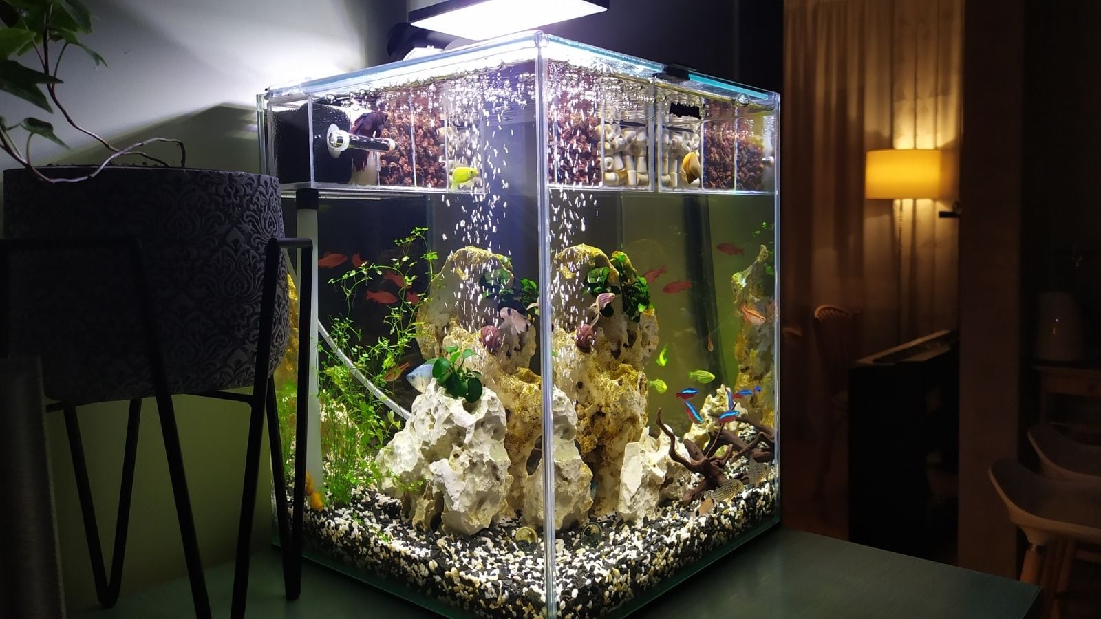 Feng Shui 101: Where To Place A Fish Tank At Home Feng Shui 101: Where To Place A Fish Tank At Home