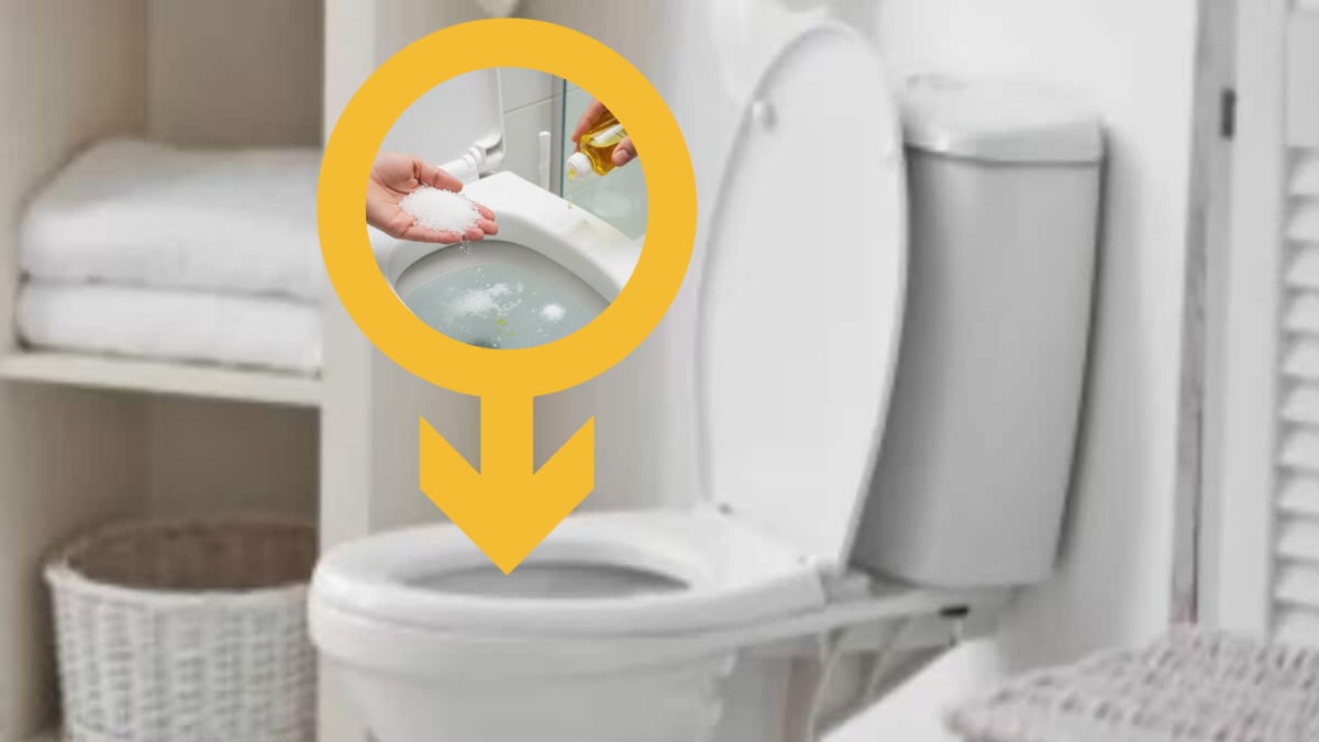3 Cheap Kitchen Items To Clean Your Toilet Overnight – It’ll Sparkle By Morning!