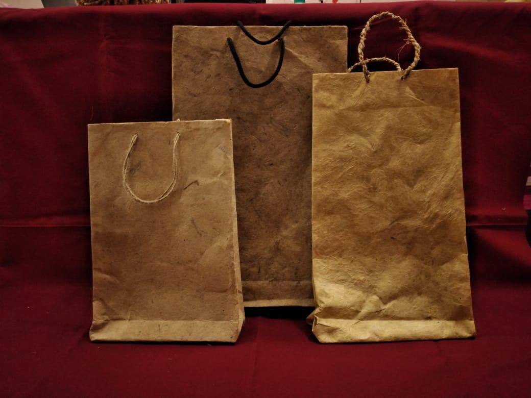 C'est vrai, C'est vrai,