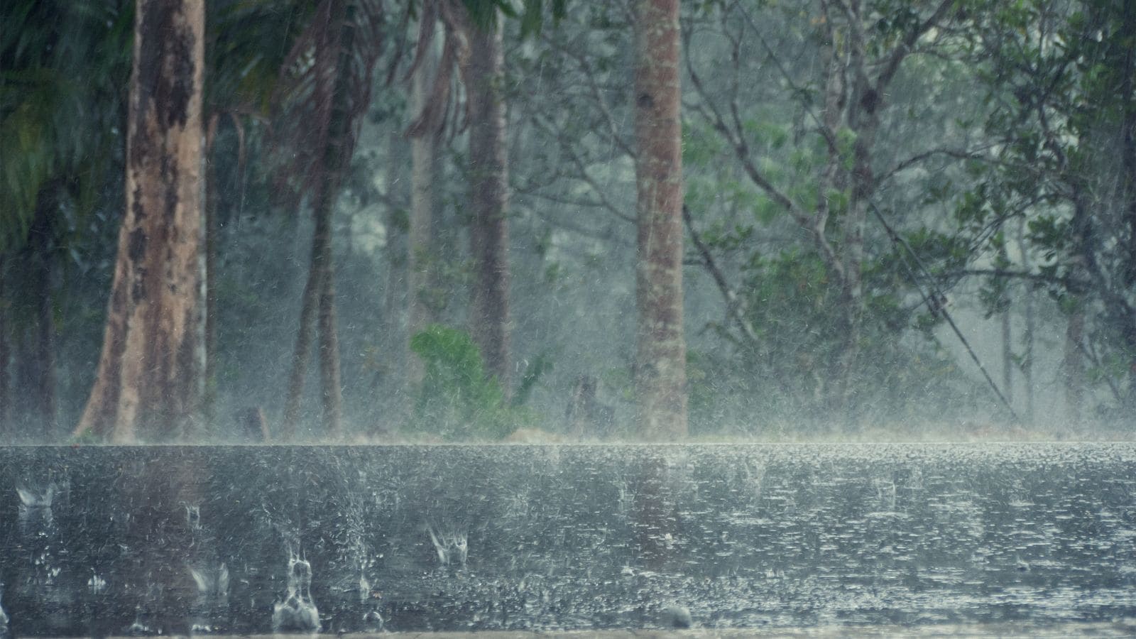 Cloud Seeding: These Countries Are Using Artificial Rain Technology Cloud Seeding: These Countries Are Using Artificial Rain Technology