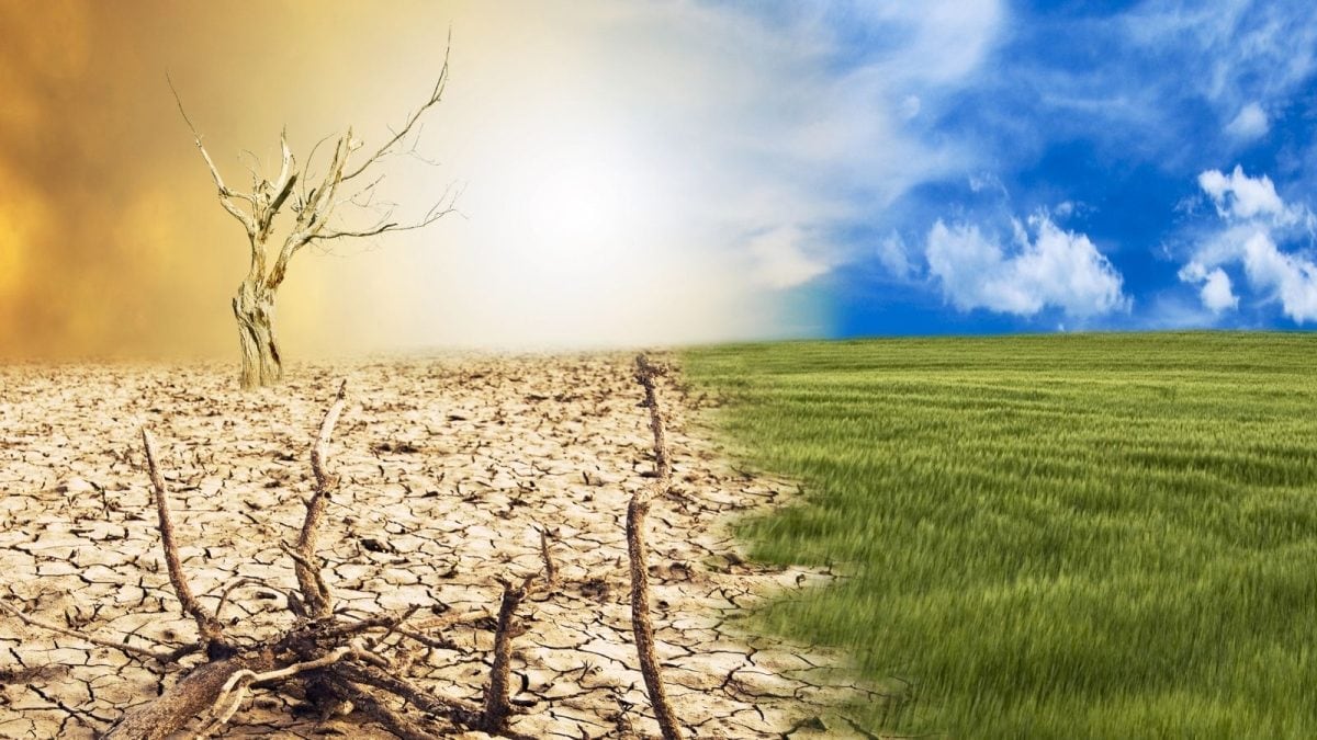 COP30 Must Deliver On Adaptation, Just Transition And Finance: UNDP India Representative | Exclusive