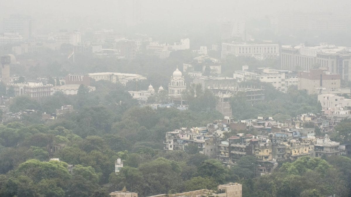 ‘Even Love Needs Life Support’: Delhi Turns To Memes Amid Worsening Smog