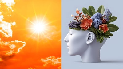 Increasing evidence makes it clear: heat messes with your brain, your moods, your sleep and your whole emotional ecosystem.