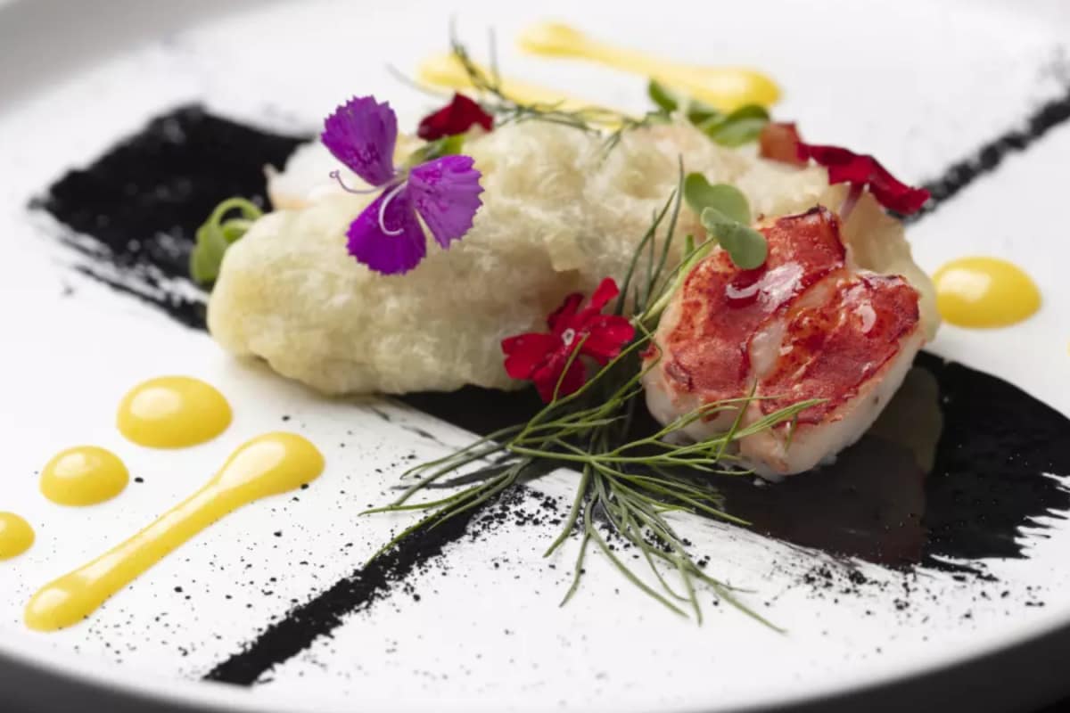 Concept Dining: How Chefs Are Turning Meals Into Immersive Culinary Experiences