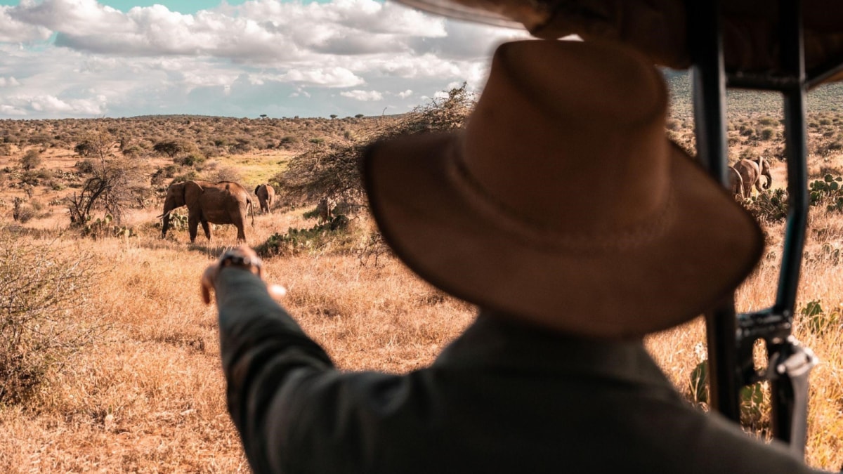 Planning Your African Safari: Countries, Seasons, and Tips