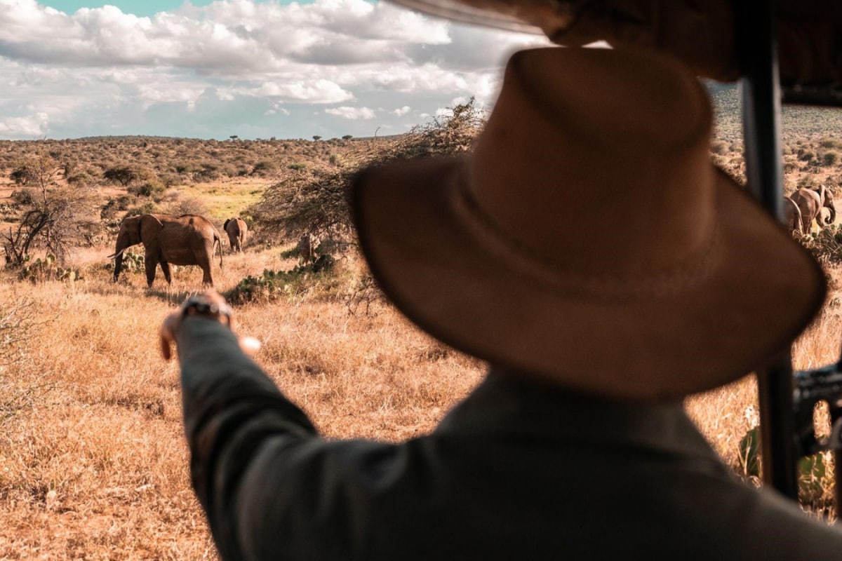 How To Plan The Perfect African Safari: Countries, Seasons And Tips