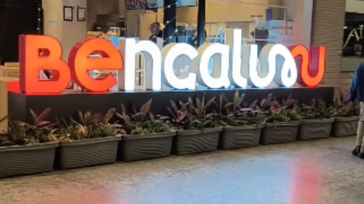 Chhath Puja Travel: Traveler's Experience and Festival Significance article image