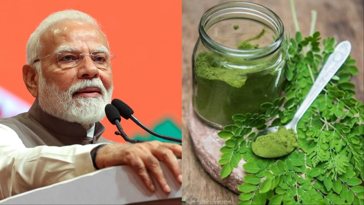 Moringa Juice Gains Popularity as Detox Drink