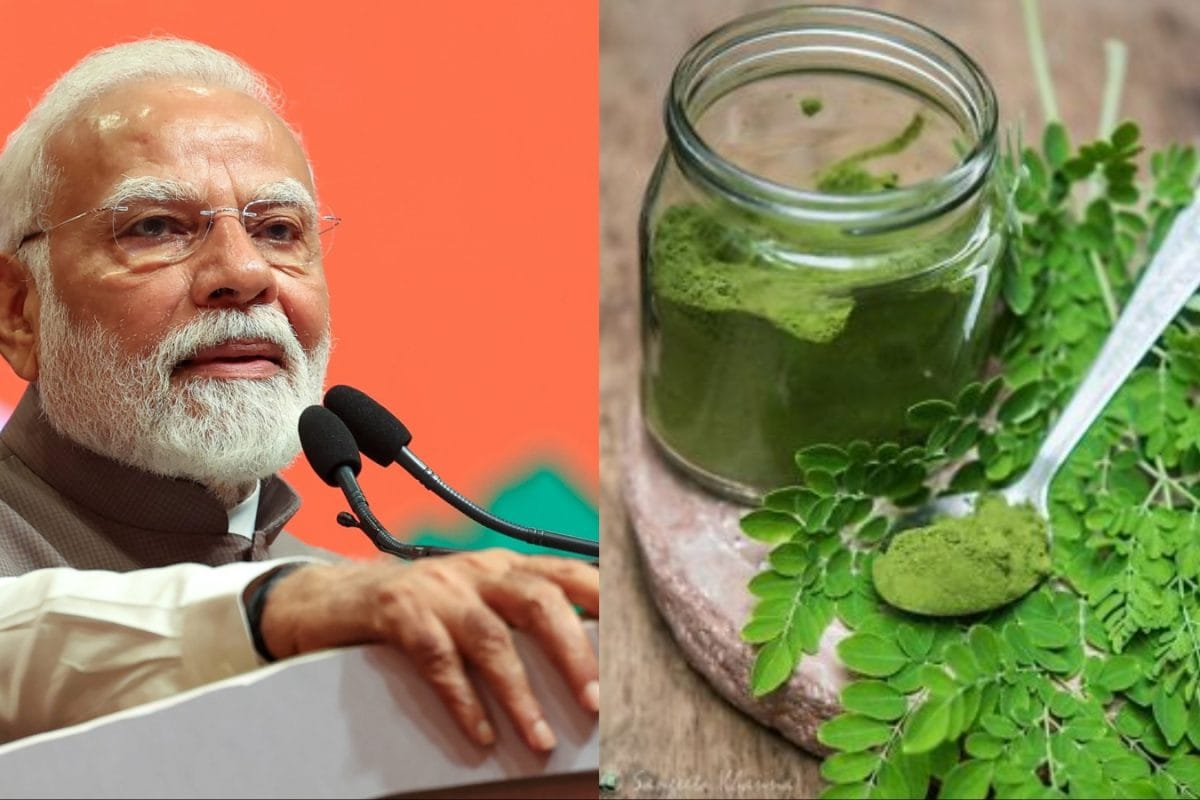 PM Modi’s Go-To Superfood? Doctor Reveals The Truth About Moringa’s Magic 