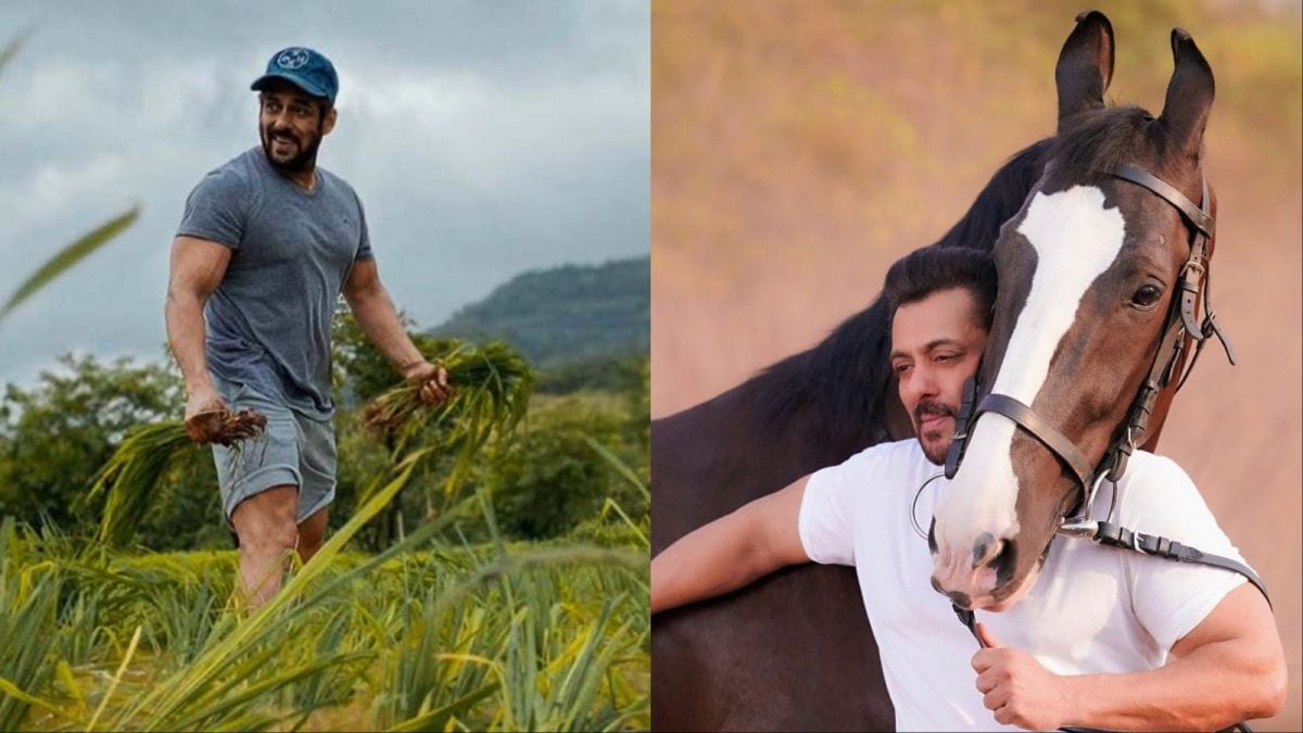 Salman Khan’s 150-Acre Panvel Farmhouse: Inside His Rs 80-Crore Arpita Farms Estate | Lifestyle News