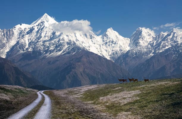Munsiyari, Uttarakhand: A peaceful hill station surrounded by snow-capped peaks and dense alpine forests. It is celebrated for its pristine environment and fresh mountain air, perfect for trekking enthusiasts. Munsiyari, Uttarakhand: A peaceful hill station surrounded by snow-capped peaks and dense alpine forests. It is celebrated for its pristine environment and fresh mountain air, perfect for trekking enthusiasts.