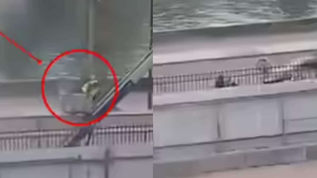 Caught On Camera: Louvre Thieves’ Bizarrely Calm Escape After $102 Million Jewel Heist