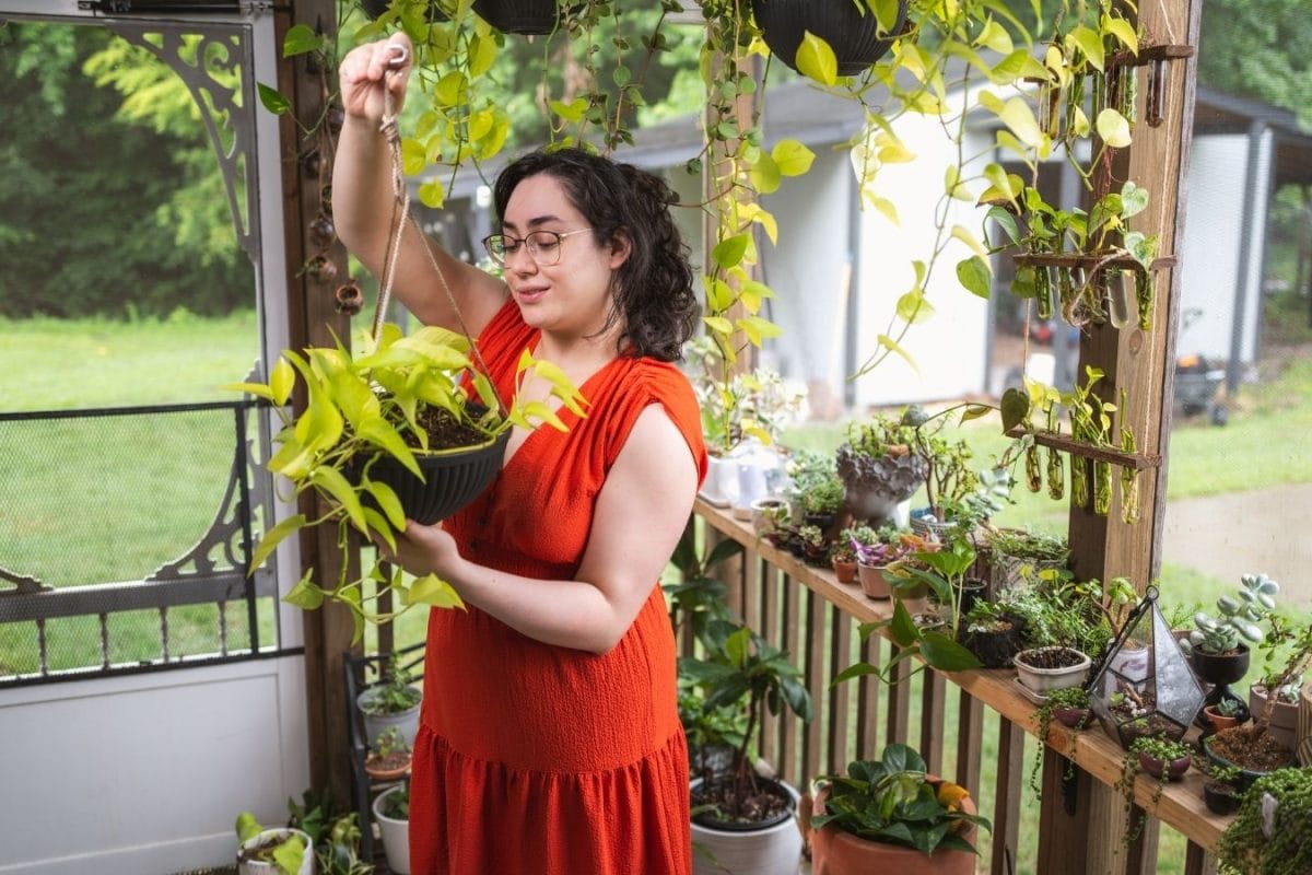 Smog Season Survival: 8 Must-Have Indoor Plants To Keep Your Air Clean