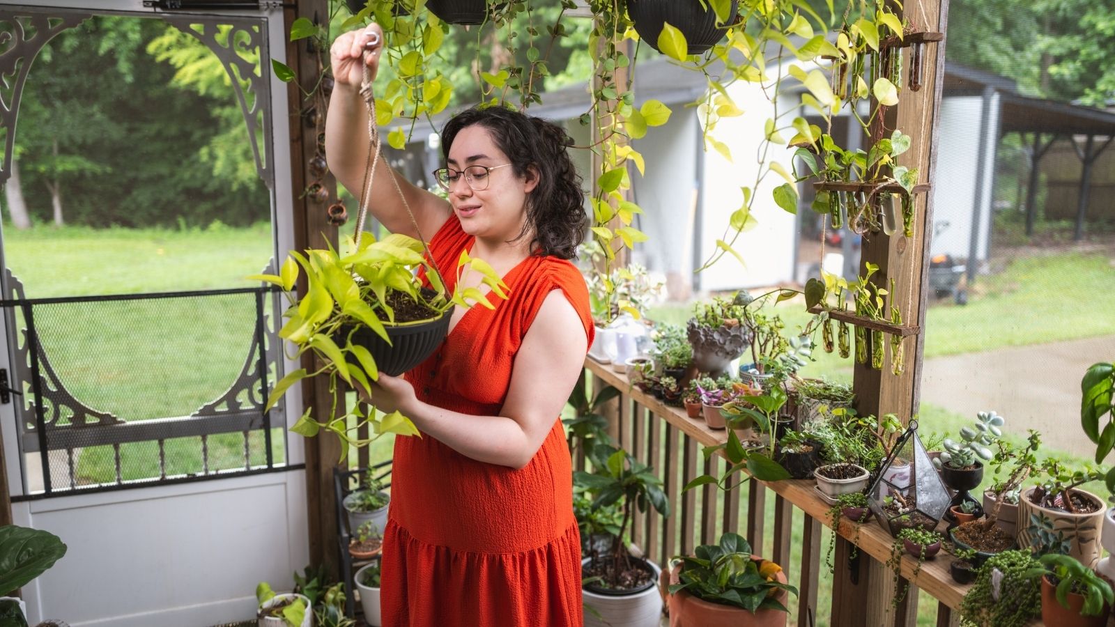 Smog Season Survival: 8 Must-Have Indoor Plants To Keep Your Air Clean Smog Season Survival: 8 Must-Have Indoor Plants To Keep Your Air Clean