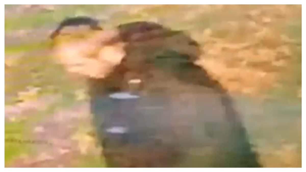 Indian-Origin Woman Raped In UK In ‘Racially Motivated’ Attack; Suspect Captured On CCTV