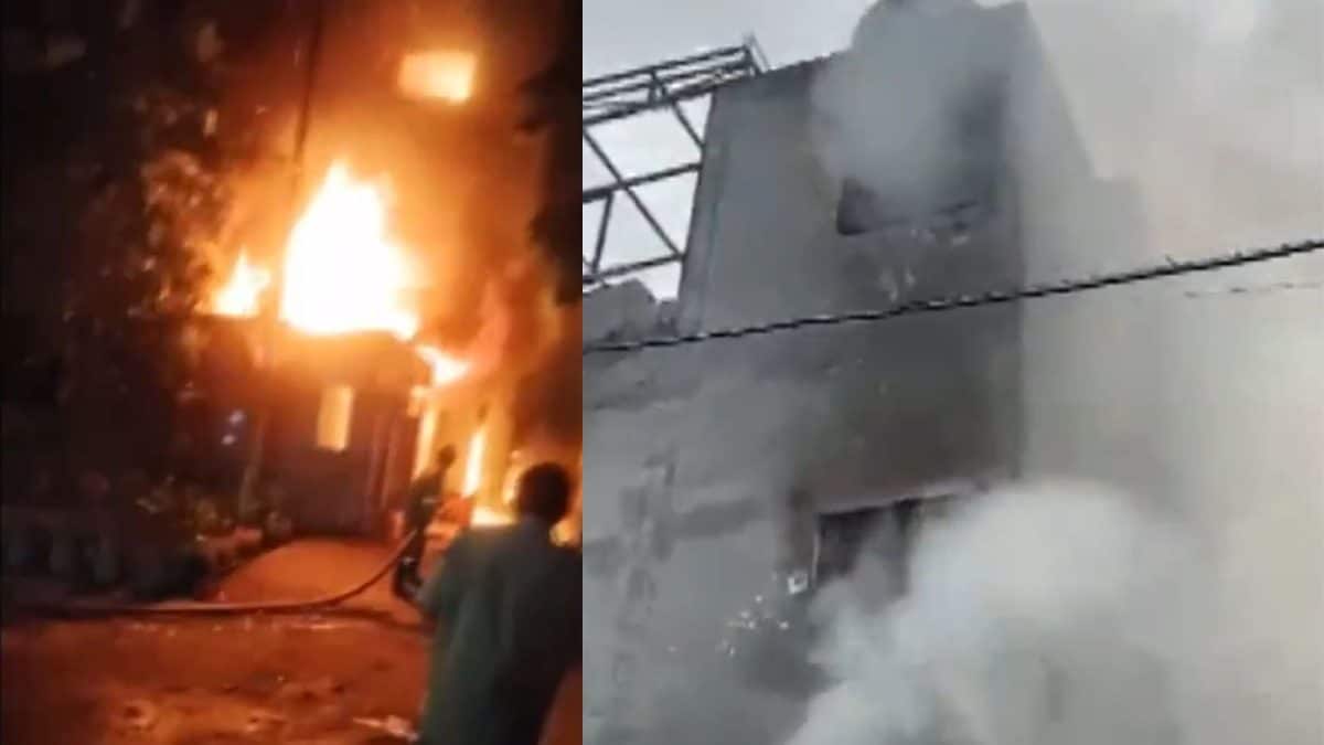 Massive Blaze Erupts At Private Company Building In Noida, Dousing Efforts Underway | Video
