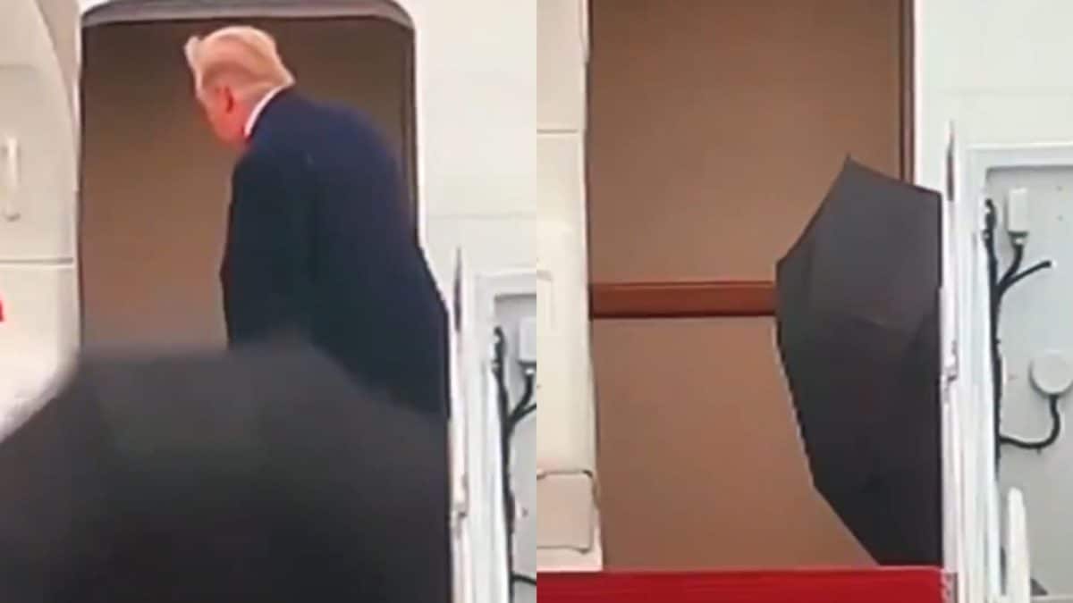 Trump Canopy Donald Trump's Struggle With Umbrella Continues, Internet Says ‘Glad ...
