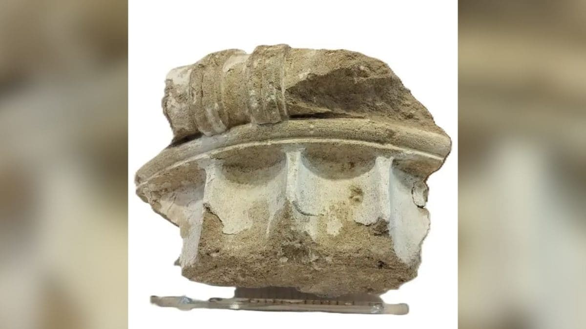 Woman Returns 2,400 Year-Old Relic To Greece 50 Years After Stealing It. Here's Why