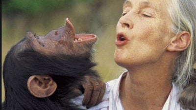 Jane Goodall (News18)