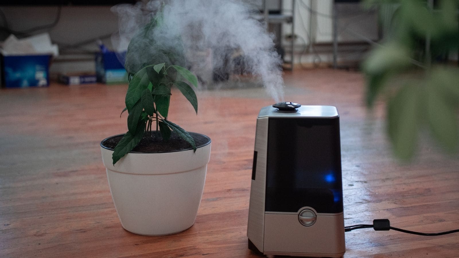 Smart Tips For Choosing The Right Air Purifier Smart Tips For Choosing The Right Air Purifier