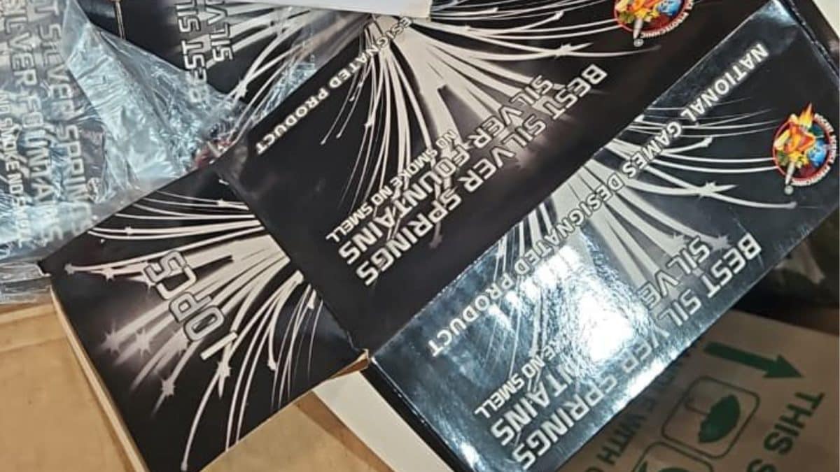 Chinese Firecrackers Worth Rs 4.82 Crore Seized At Maharashtra's Nhava Sheva Port; One Arrested