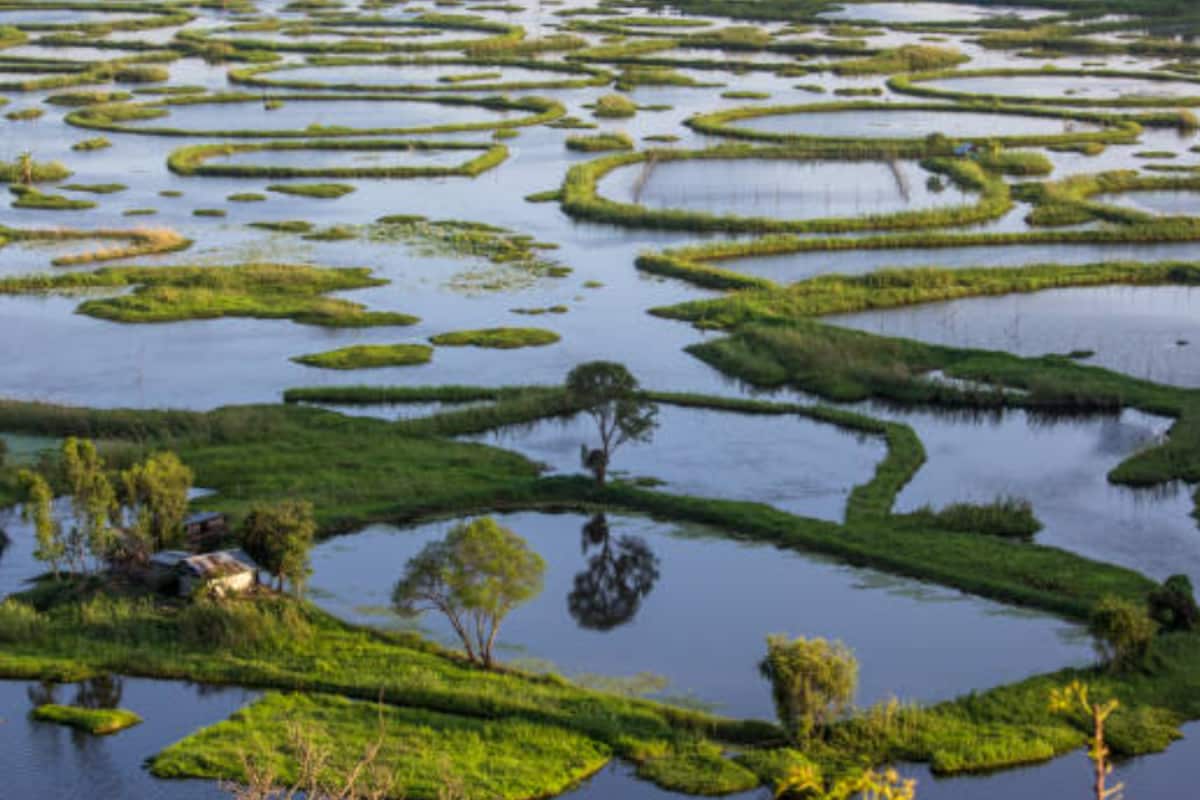 The Only Floating National Park In The World Is Right Here In India