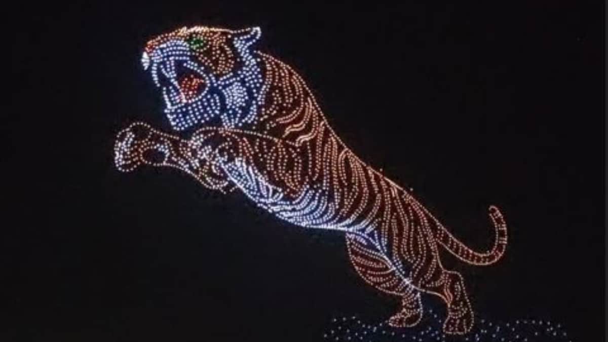 Mysuru Dasara 2025: Breathtaking Drone Show Lights Up Night Sky